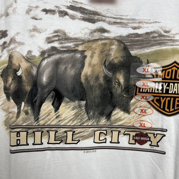 Harley Davidson 2012 Beefy R.K. Stratman Buffalo Hill City Harley T-Shirt XL NWT - Picture 2 of 9